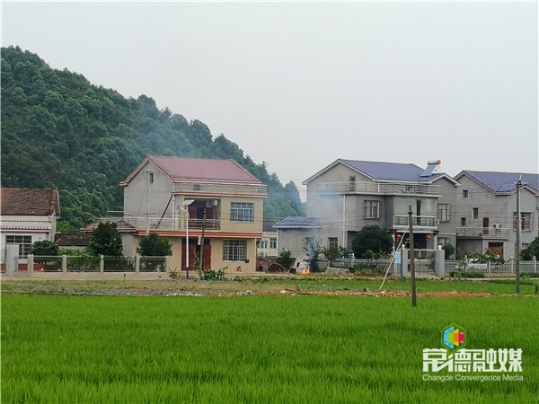 鼎城区石板滩镇拾柴坡村,枫树桥村沿线有多处火点,露天焚烧秸秆现象